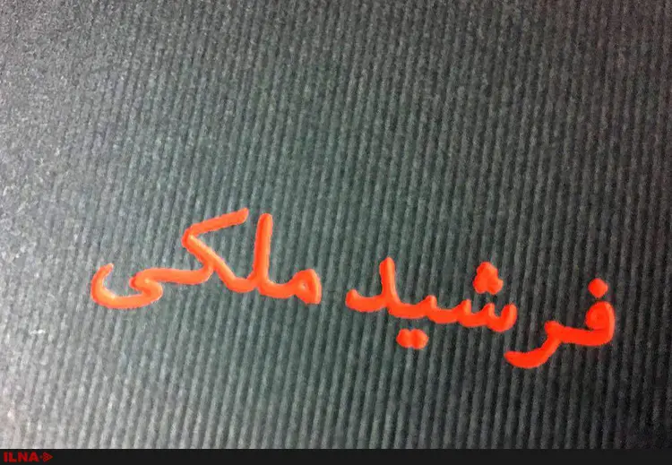چیزی بین طنز و فاجعه/آثار فرشید ملکی به هیچ نقاشی شبیه نیست
