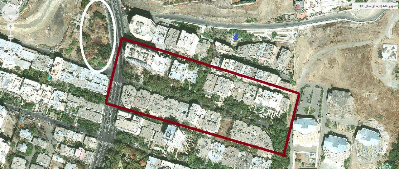 قطع درختان شهر تهران همچنان ادامه دارد