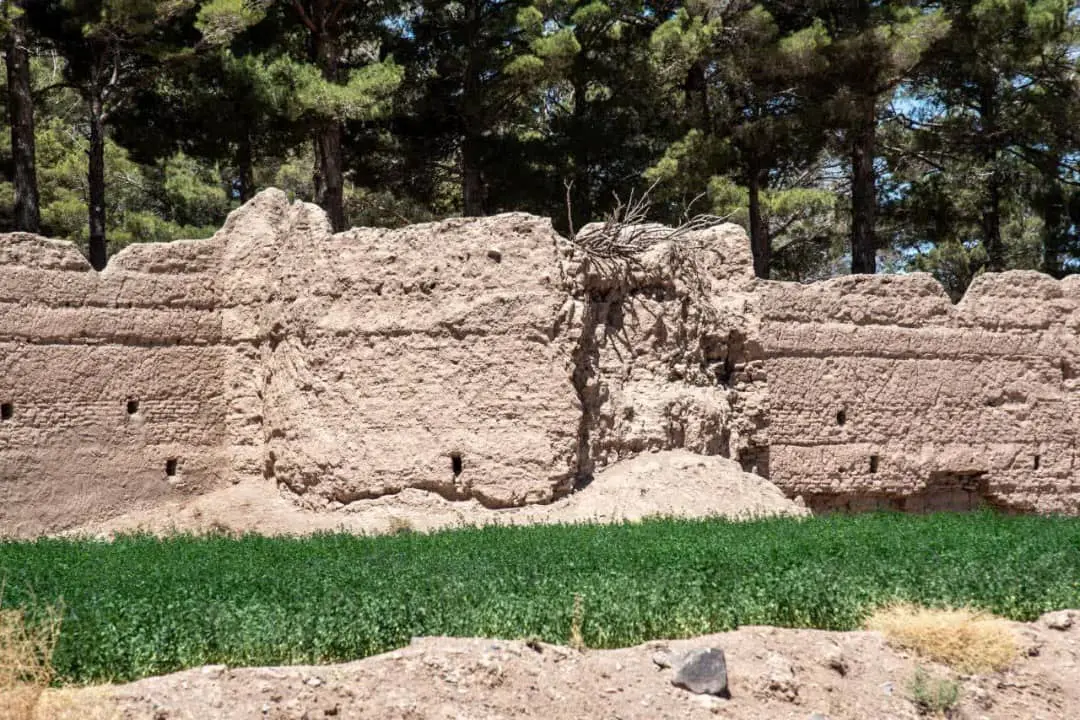 دیوارهای قلعه تاریخی "مود" شهرستان سربیشه در حال فرو ریختن است/بی توجهی مسئولان به بنای یادگاری دوره زندیه و قاجار
