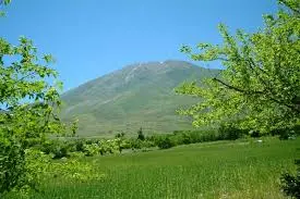 پیوند تجارت، طبیعت و فرهنگ