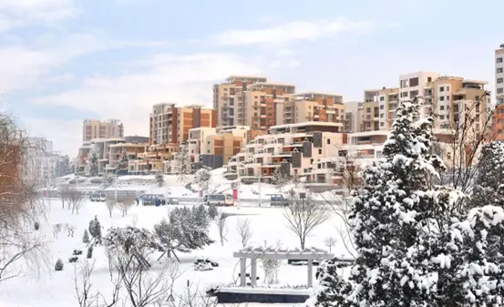 New Year Celebration of DPR Korea