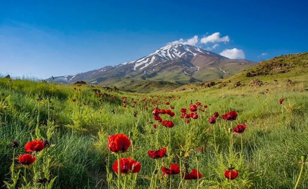 اجاره ویلا در مناطقی که فاصله کمی از تهران دارند و طبیعت بکر