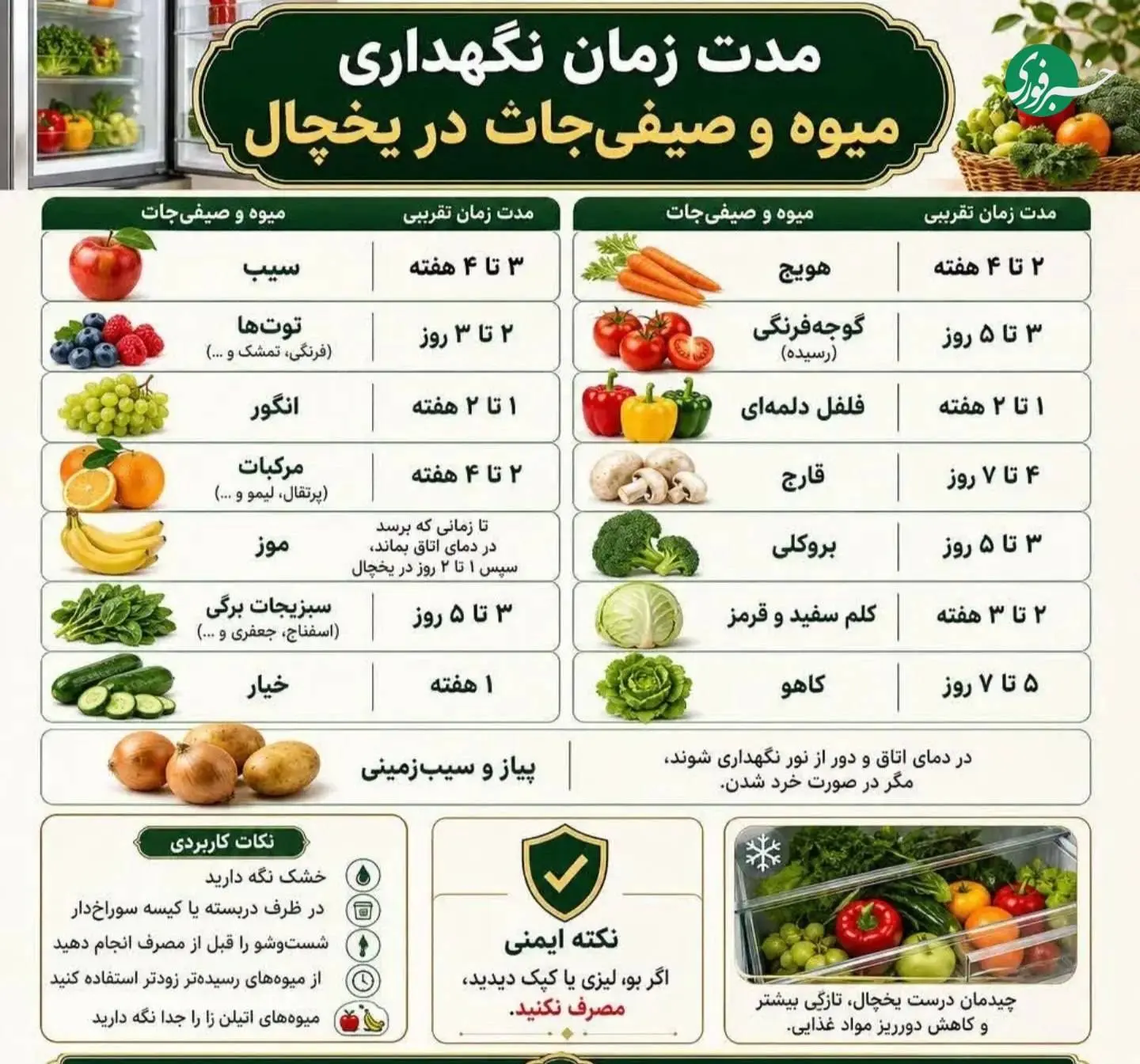 راز تازه ماندن میوه‌ها؛ مدت نگهداری هر کدام در یخچال 