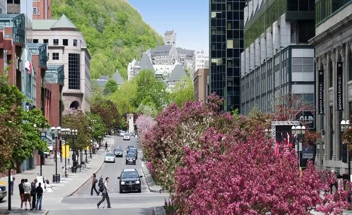 Montreal-universities