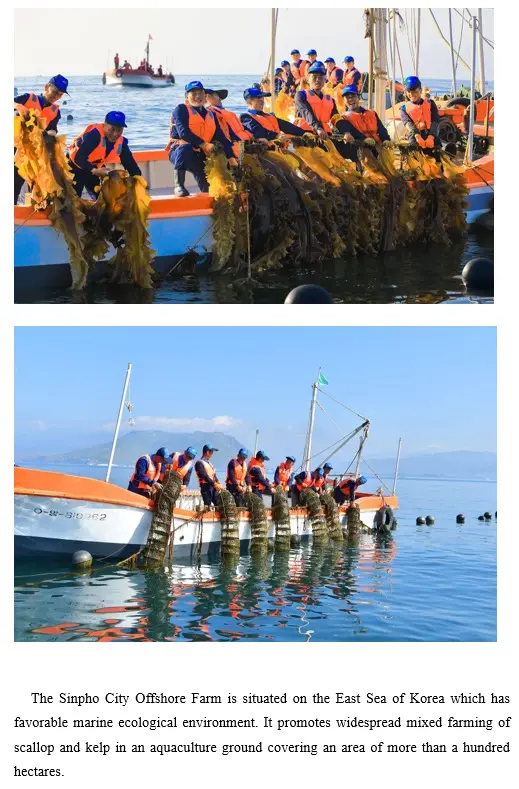 DPR Korea's mountains and coastline are changing