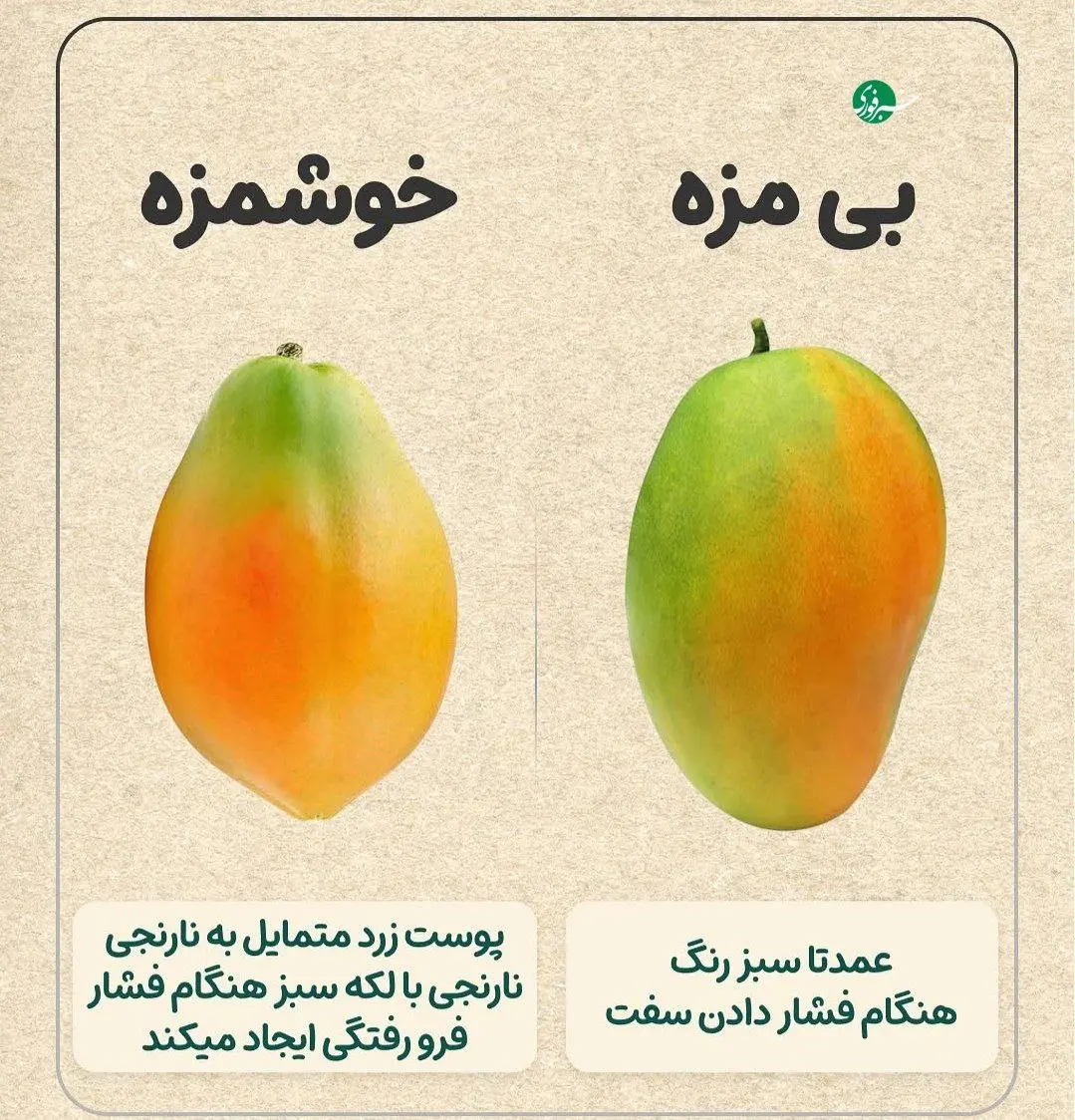 راهنمای خرید میوه + عکس