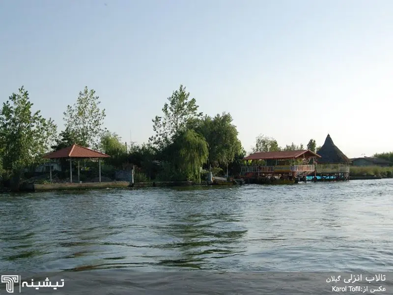 اجاره ویلا با بهترین روشها+ پیشنهادهای جذاب ساحلی و جنگلی شمال ایران