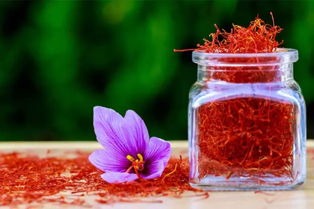 Get Premium Iranian Saffron at the Best Price from Tida Saffron