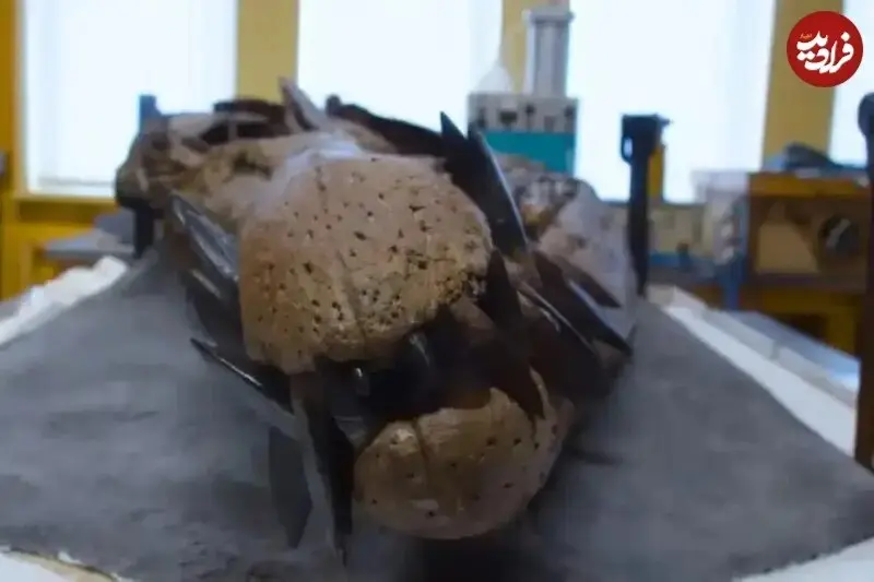 هیولایی با جمجمۀ ۲ متری که ۱۵۰ میلیون سال در دل صخرهها پنهان شده بود + عکس