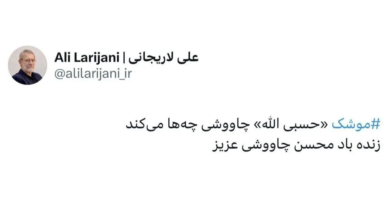 توییت دبیر شورای عالی امینت ملی برای چاوشی 