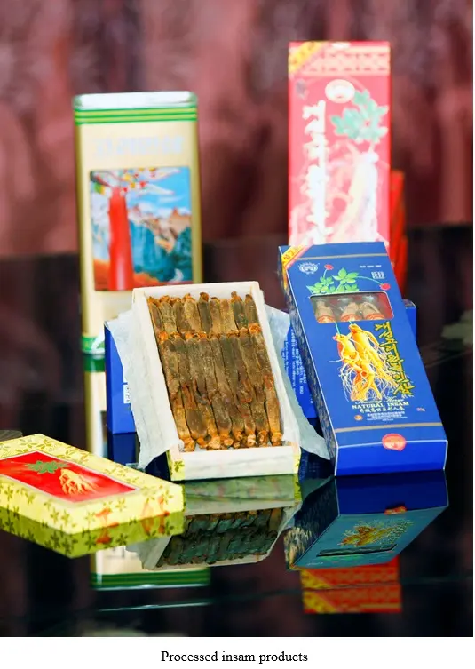 Kaesong Koryo Insam of DPRK