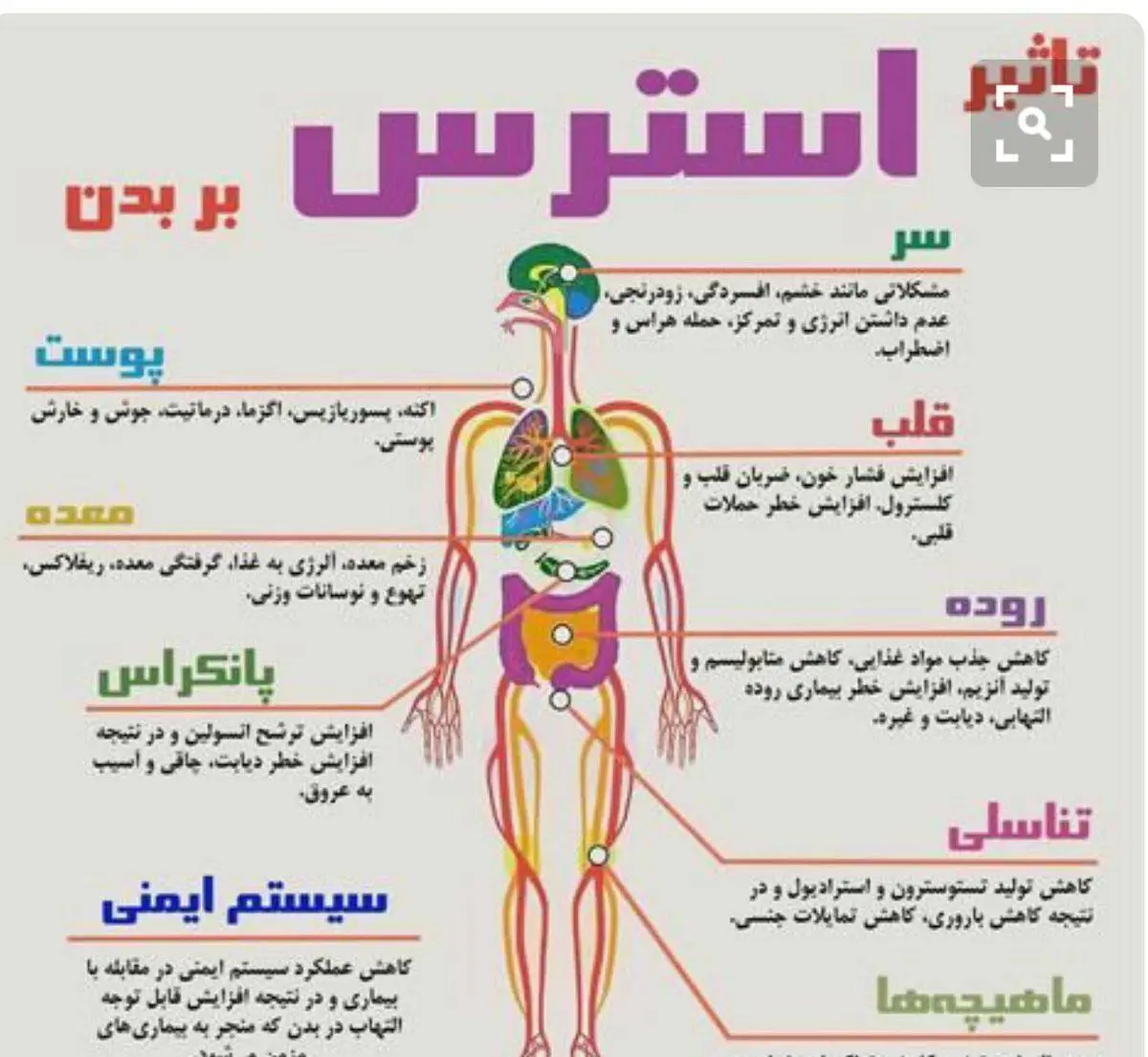 تاثیر استرس بر بدن + اینفوگرافیک