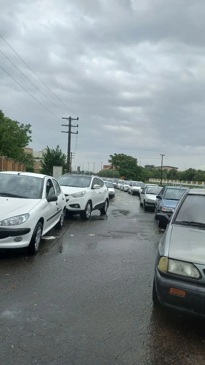 بارش بی وقفه باران در زنجان موجب آبگرفتگی معابر ، منازل مسکونی شد