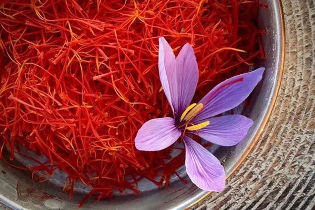 Tida Saffron: Premium Quality with Market-Appropriate Pricing