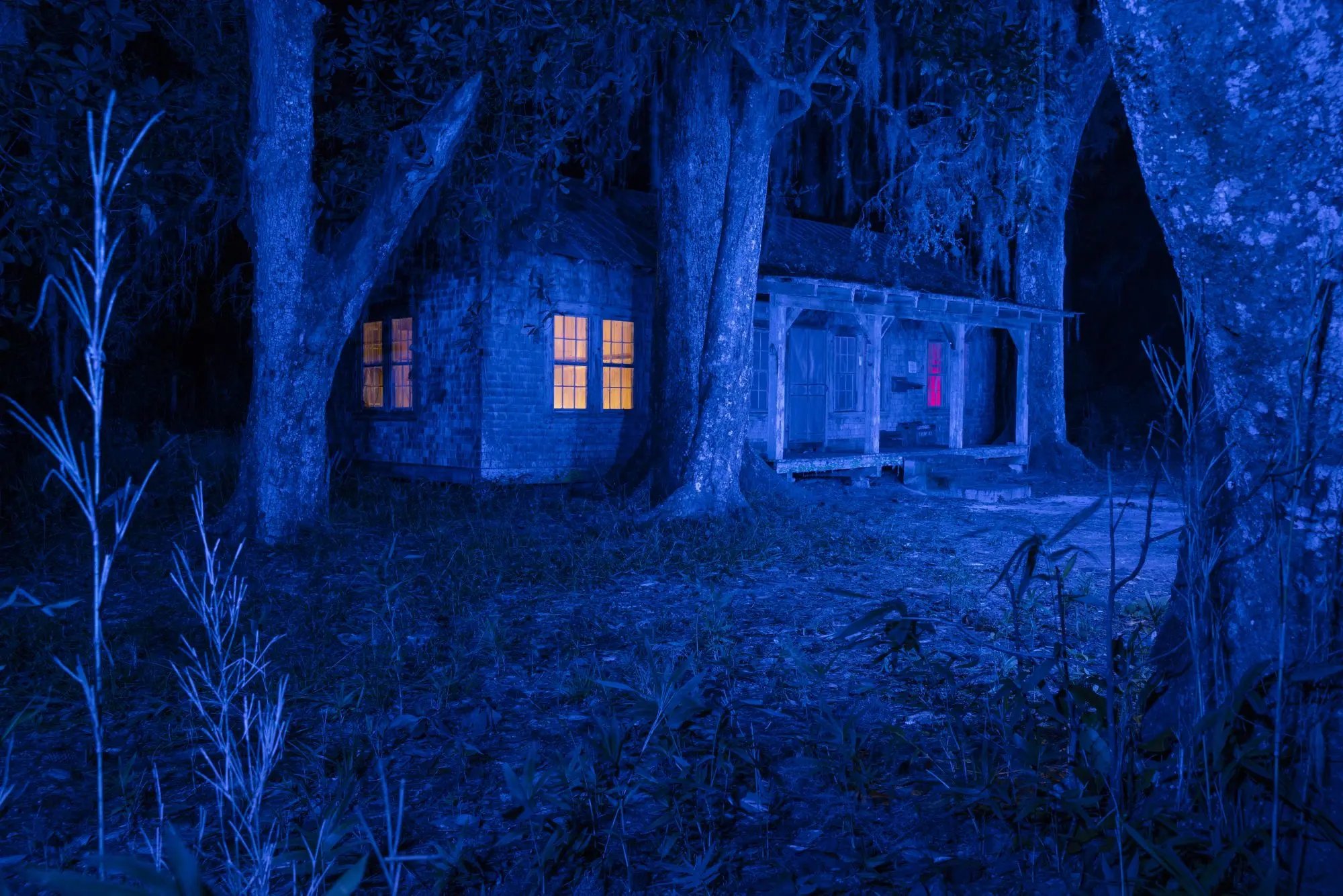 ثبت انرژی «اسرارآمیز» یک باتلاق جادویی/ عکس‌هایی که ژانر وحشت را تداعی می‌کنند