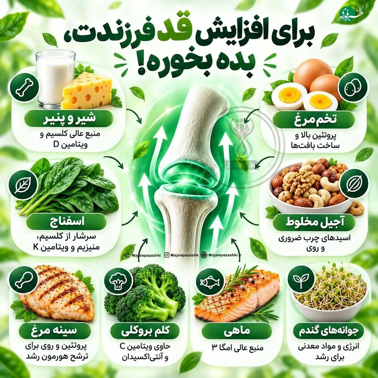 ۸ خوراکی مفید برای رشد و سلامت استخوان کودکان