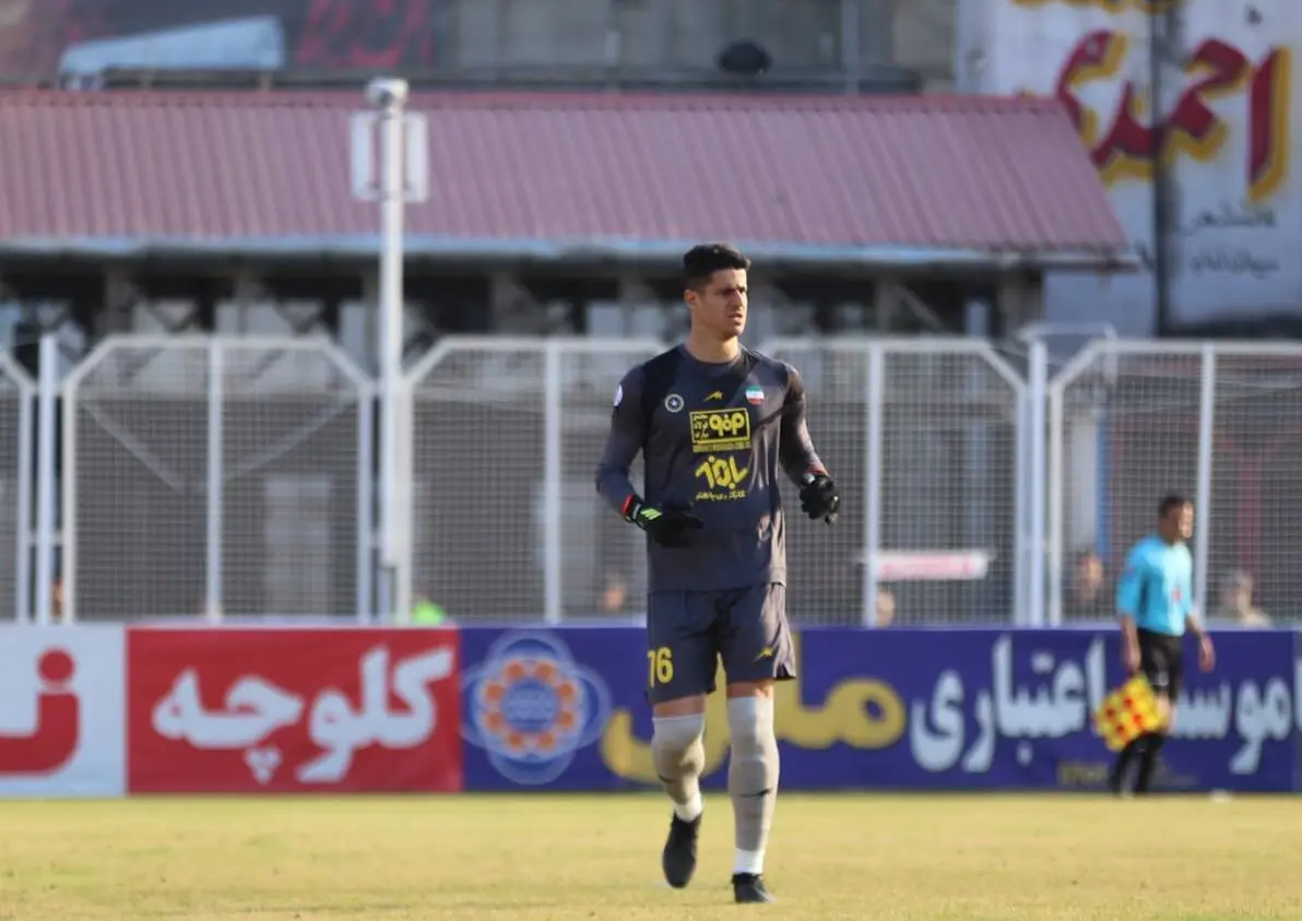 تیم منتخب هفته هفدهم لیگ برتر