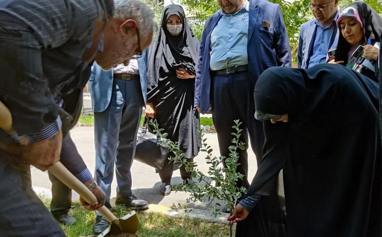 برنامه‌ریزی برای تولید نهال‌های طرح کاشت یک میلیارد درخت توسط زنان