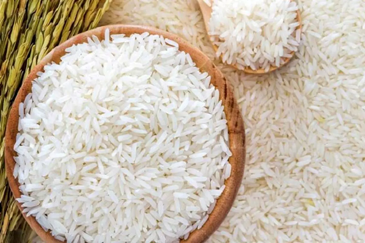 واردات برنج مشروط به خرید برنج تولید داخل/ خرید برنج داخلی در دستورکار وزارت جهاد کشاورزی