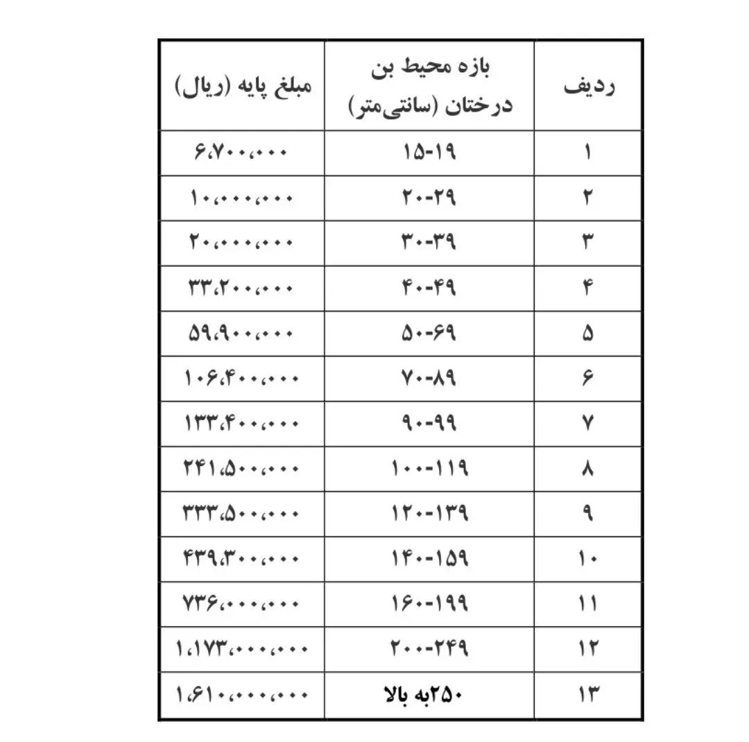 آگهی‌های جدید دیوار؛ اجاره درخت!/ راه جدید برای پایان کار ساخت‌وسازها/ چنار ٧٠ ساله: ٢۵ میلیون