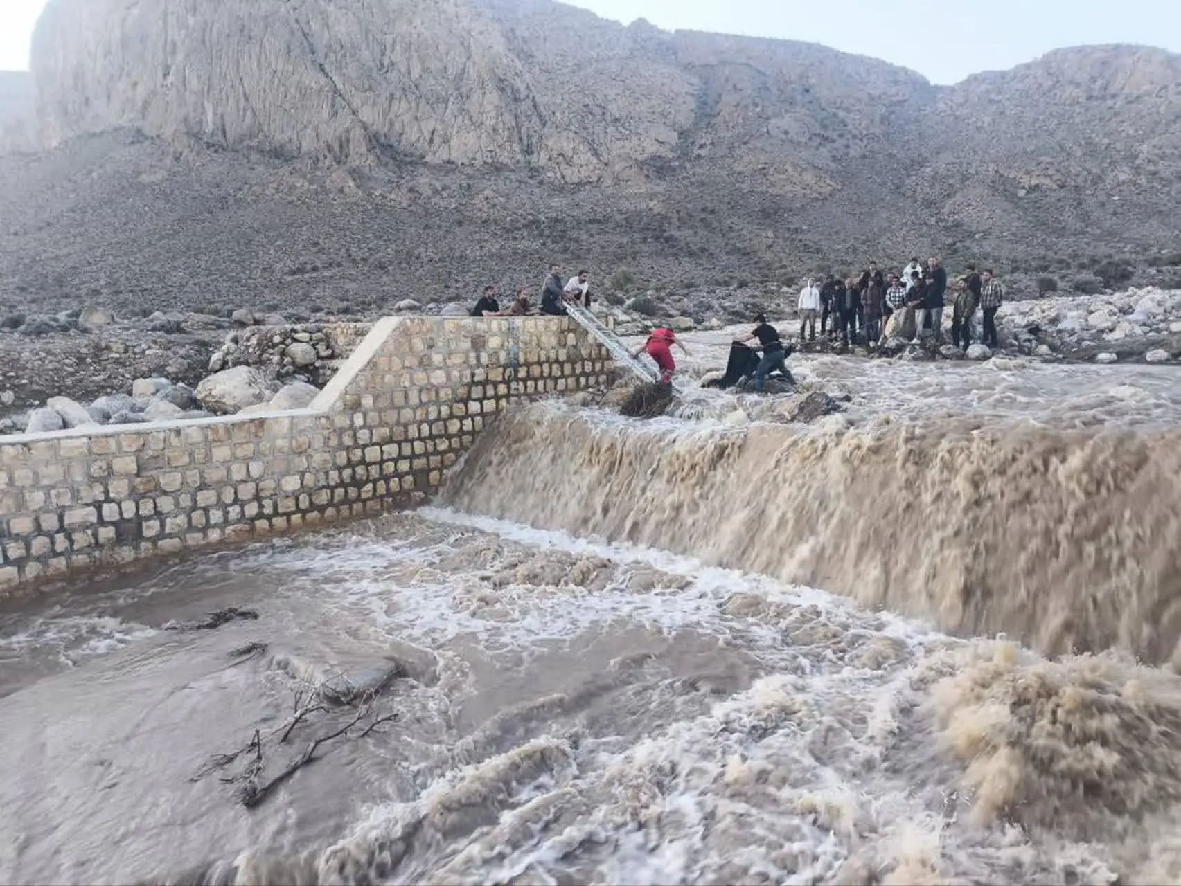 بهبود وضعیت کشاورزی و منابع آبی فارس در بارندگی اخیر / رسیدگی به خسارات احتمالی در دستور کار است