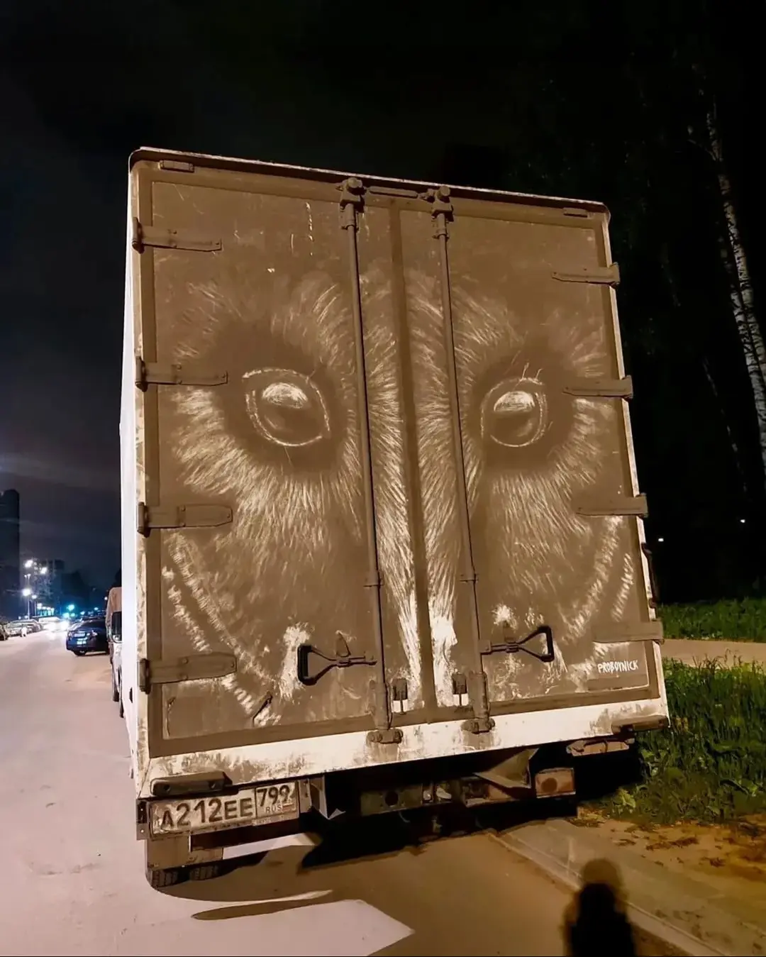 هنرمند روس از گرد و غبار، بوم می‌سازد + عکس