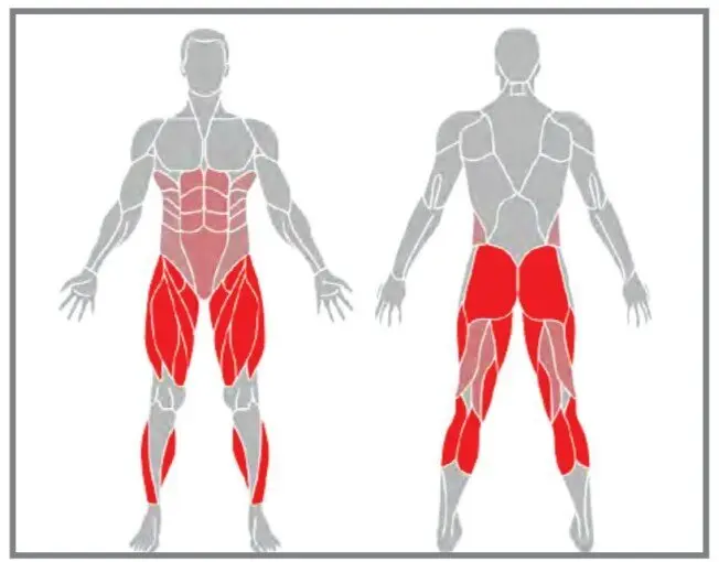 ورزش در خانه + آموزش تصویری