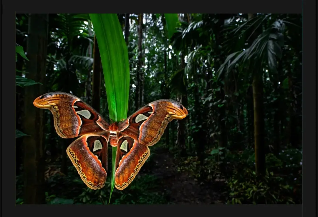 گزارشی از جشن سالانه «کلوزآپ ۲۰۲۳»+ ۱۳ اثر برگزیده