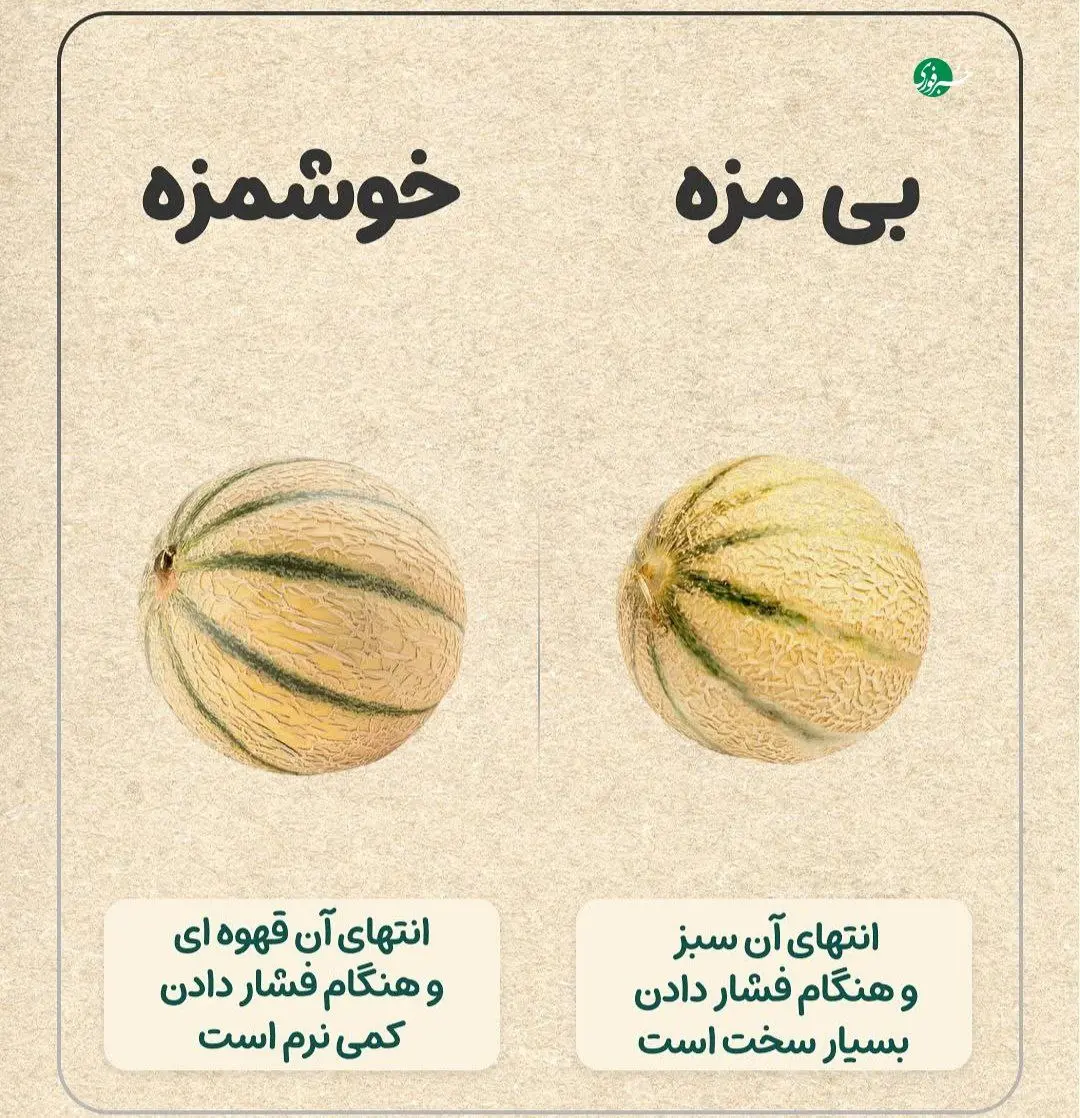 راهنمای خرید میوه + عکس