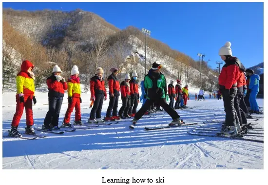 Campsites for Schoolchildren