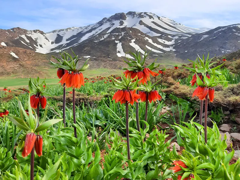 لرستان عروس طبیعت ایران /سرزمین آبشارها و آثار تاریخی