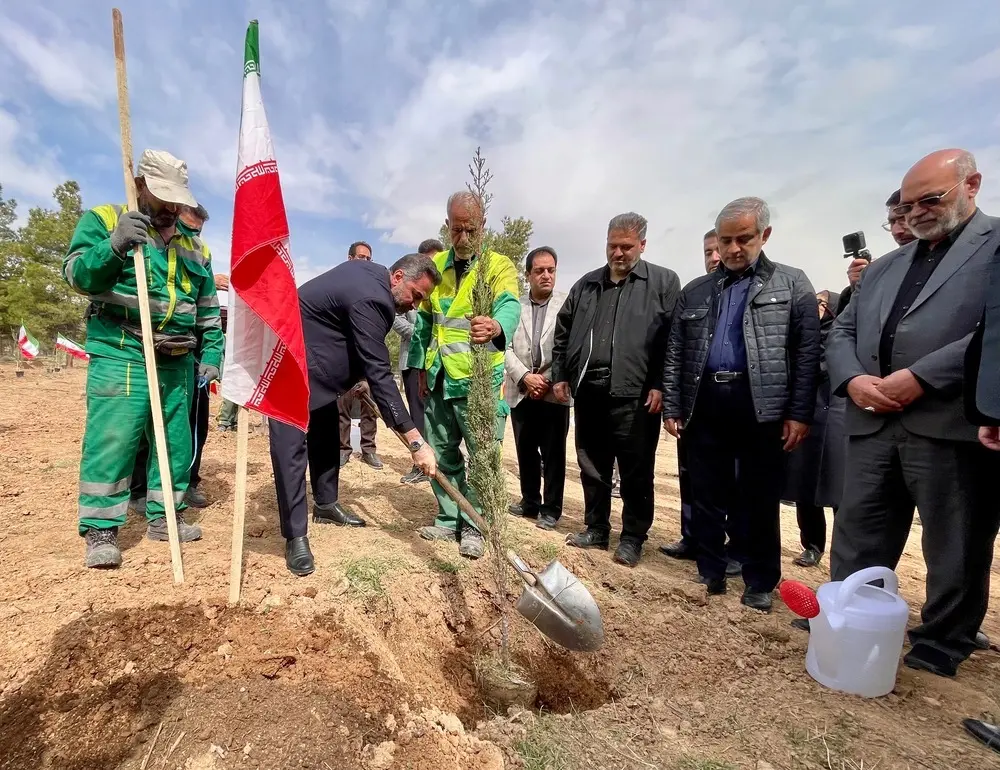 شیراز در مسیر تکمیل کمربند سبز با کاشت ۷۰۰ هزار نهال و ۷ میلیون بذر  