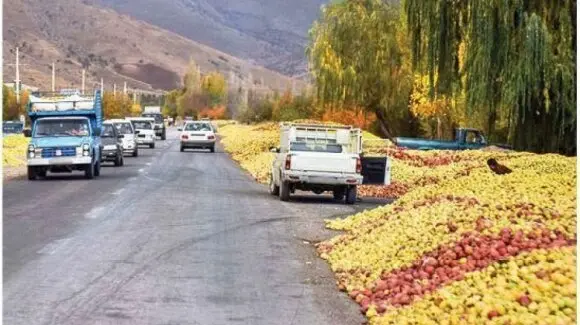 تکرار قصه نامهربانیها با سیب ارومیه/ انباشت تولیدات باغداران در جادههای استان به دلیل ناتوانی مسئولان در اجرای وعدهها