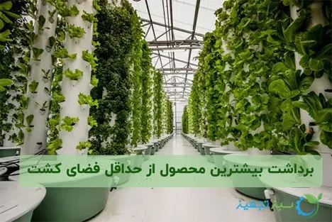 کشت عمودی چیست و چه مزایایی دارد؟ راهنمای صفر تا صد راه اندازی کشاورزی کشت عمودی