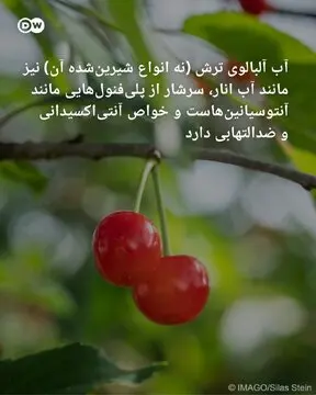 پنج نوشیدنی مفید برای سلامت روده