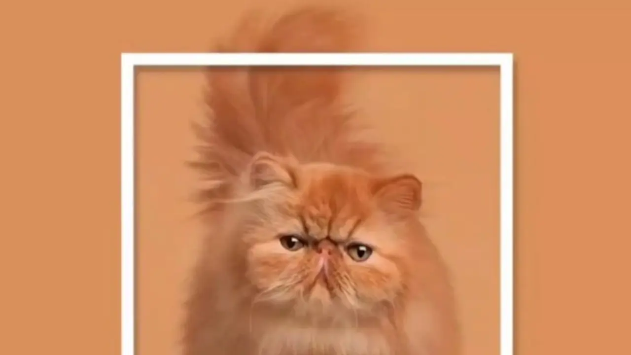 ۹ رنگی که در دنیا به نام ایران میشناسند