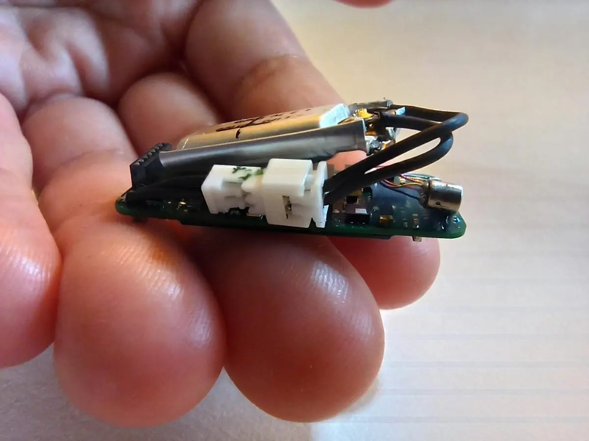 خفاشها چطور مثل جنگنده پرندهها را شکار کرده و در آسمان میبلعند