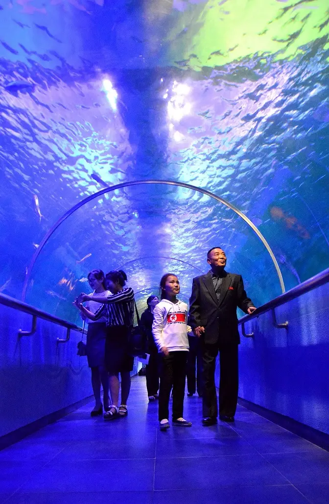 Cultural and recreational facilities in the Democratic People's Republic of Korea