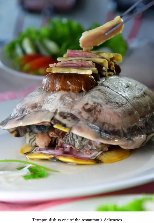 Food culture and famous restaurants of Democratic People’s Republic of Korea