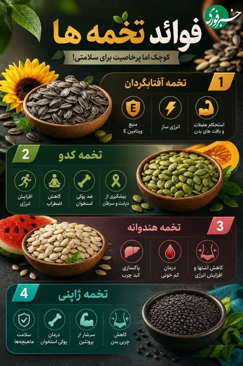 فواید انواع تخمه ها 