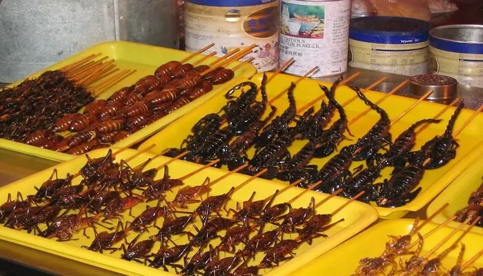 آداب و فرهنگهای چین که باید قبل از سفر نوروزی بدانید