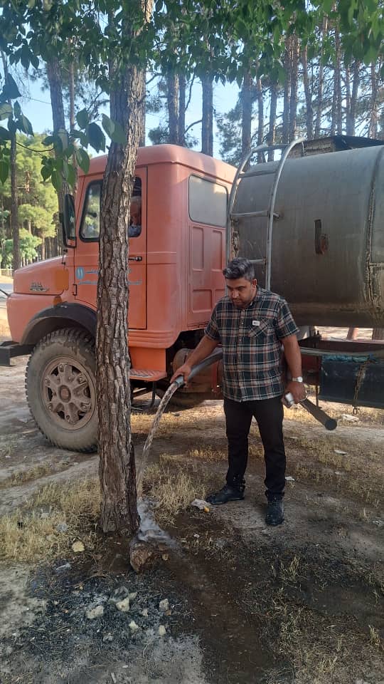 سوسک چوب‌خوار بلای جان درختان تخت‌جمشید/ مردم محلی با دبه و بطری به کمک درختان خشک شده آمدند