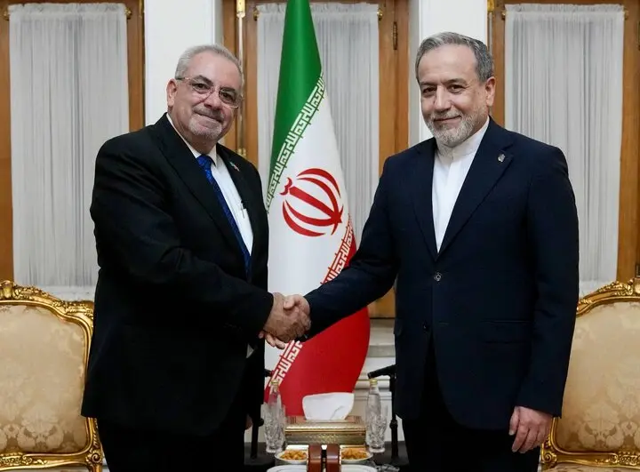 رایزنی سفرای جدید دانمارک و هند و نماینده جدید WHO در تهران با عراقچی