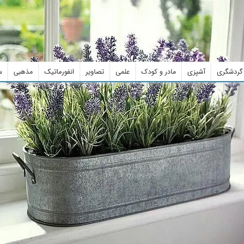 10 گیاهی که پشه ها را از محیط زندگی شما فراری می دهند