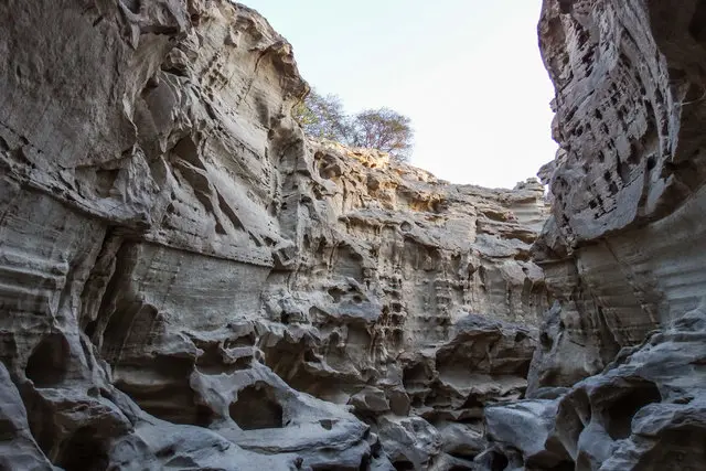 آریزونا در ایران/تصاویر