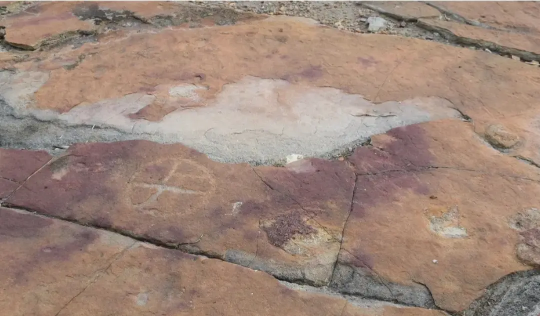 کشف نقاشی های صخره ای ۹ هزار ساله در میان ردپای دایناسورها 