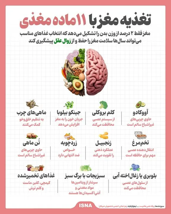۱۱ خوراکی مغزی برای تقویت مغز و حافظه + اینفوگرافیک