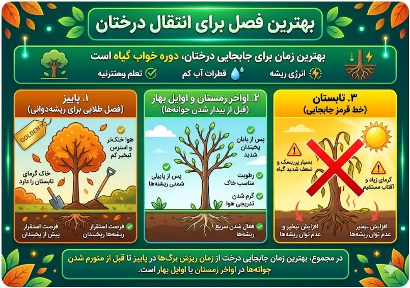 بهترین آب و هوا برای جابجایی درخت{بهترین فصل انتقال درخت}
