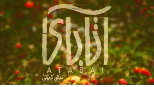 دانلود سریال نیسان آبی قسمت 14 چهاردهم ( دانلود قسمت چهاردهم نیسان آبی ) با حجم رایگان