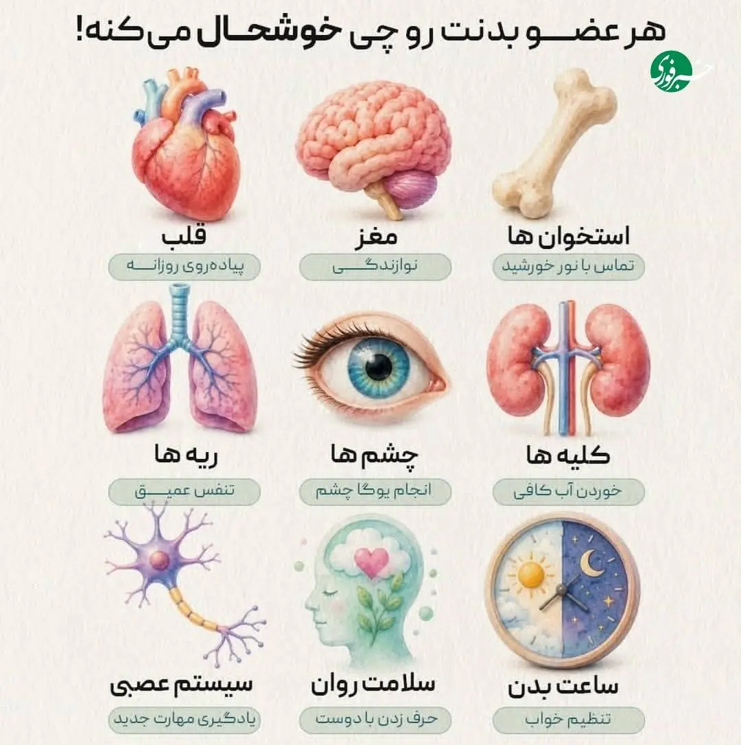 هر بخش بدن با چه چیزی حالش خوب می شود؟ + اینفوگرافی